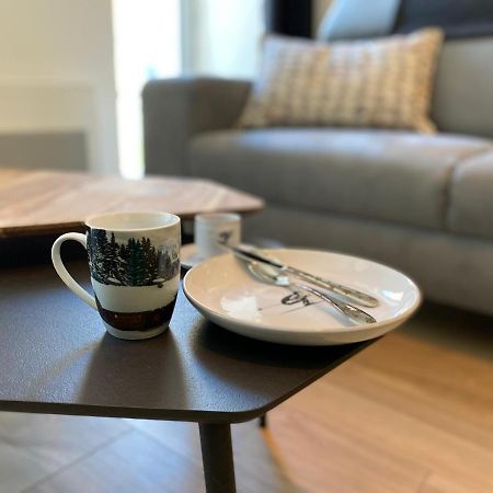 Appartement Plein centre, T3 5P totalement rénové 55m2. WIFI à Cauterets Extérieur photo